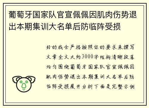 葡萄牙国家队官宣佩佩因肌肉伤势退出本期集训大名单后防临阵受损 葡萄牙国家队官宣佩佩因肌肉伤势退出本期集训大名单后防临阵受损
