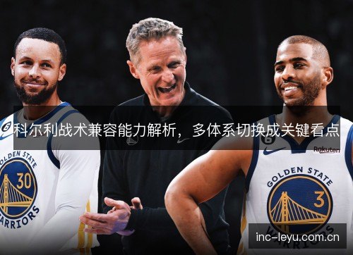 科尔利战术兼容能力解析，多体系切换成关键看点